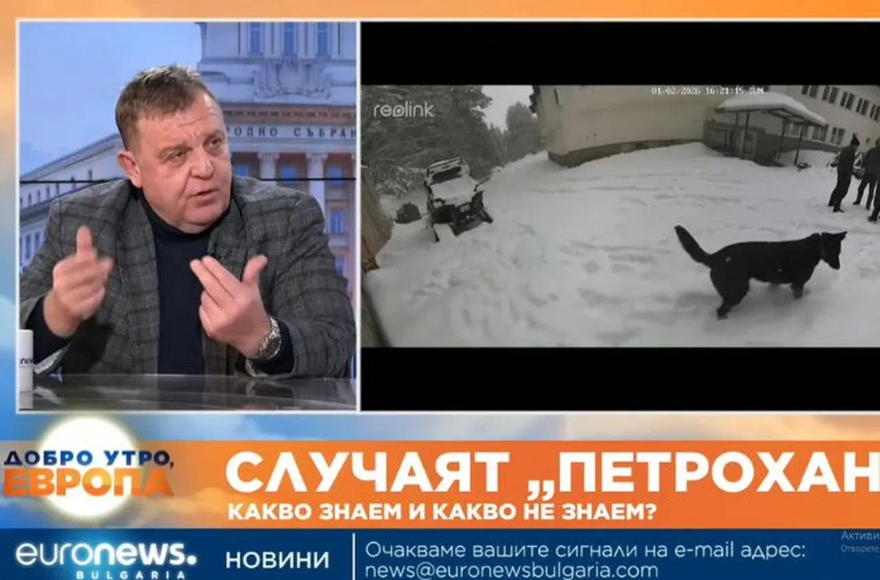 Трагедията „Петрохан“: Извратенящината влезе в политиката